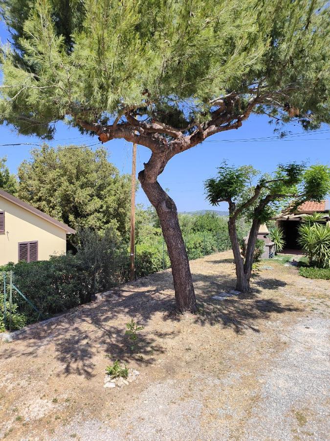 La Casetta Apartment San Vincenzo